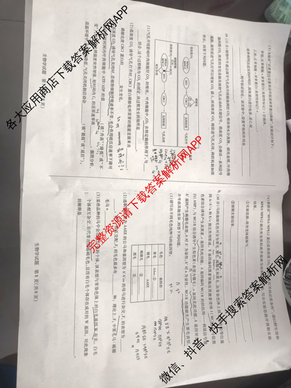 天一大联考海南省2025-2026学年高三年级学业水诊断(一)(已更新政治、语文、地理等9份)生物试题