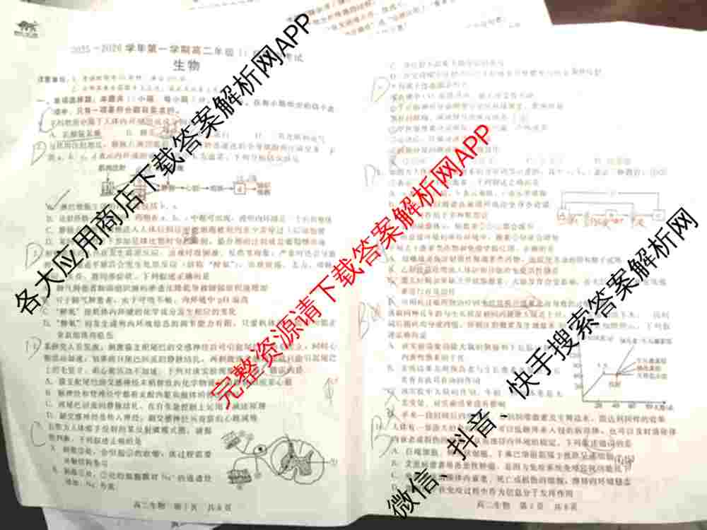 NT河北省2025-2026学年第一学期高二年级11月期中考试各科答案及试卷（含化学、生物、英语等）生物试题