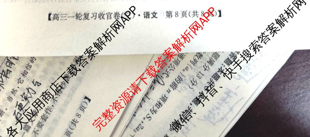 金玉米陕西教育联盟2026届高三一轮复收官卷(三) 试卷及答案汇总（含化学 物理 语文等）语文试题