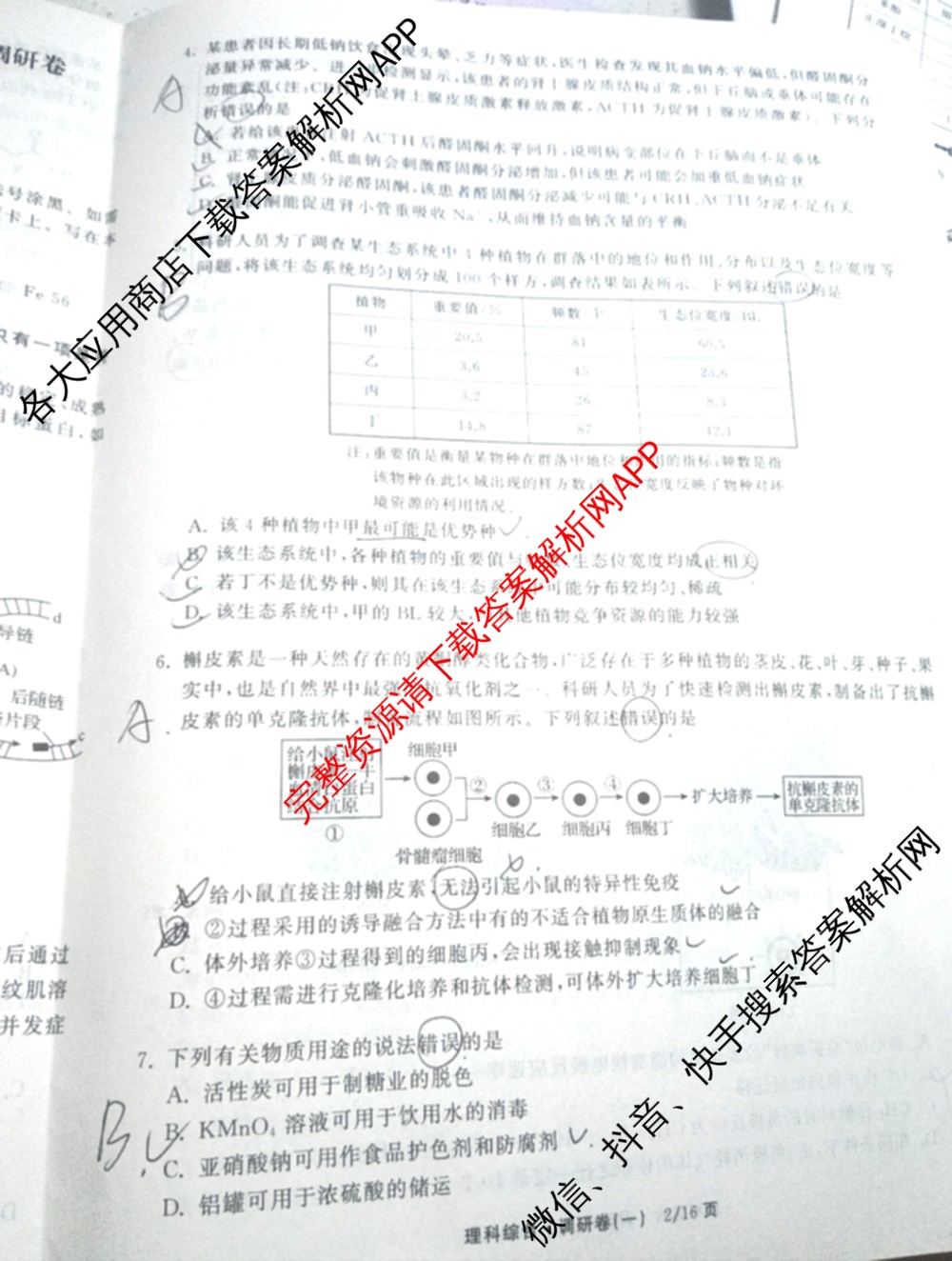天舟高考衡中同卷2026年普通高等学校招生全国统一考试模拟调研卷(一)1（含化学(JY)、化学(山东版)、语文(A)等）理综试题