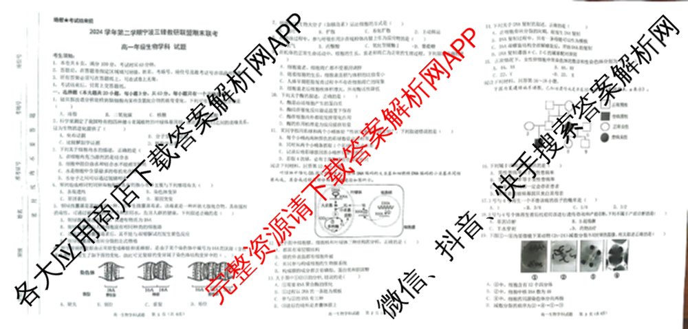 2025学年高一年级第二学期宁波三锋教研联盟期末联考试卷及答案汇总（含化学、生物、历史等9份）生物试题