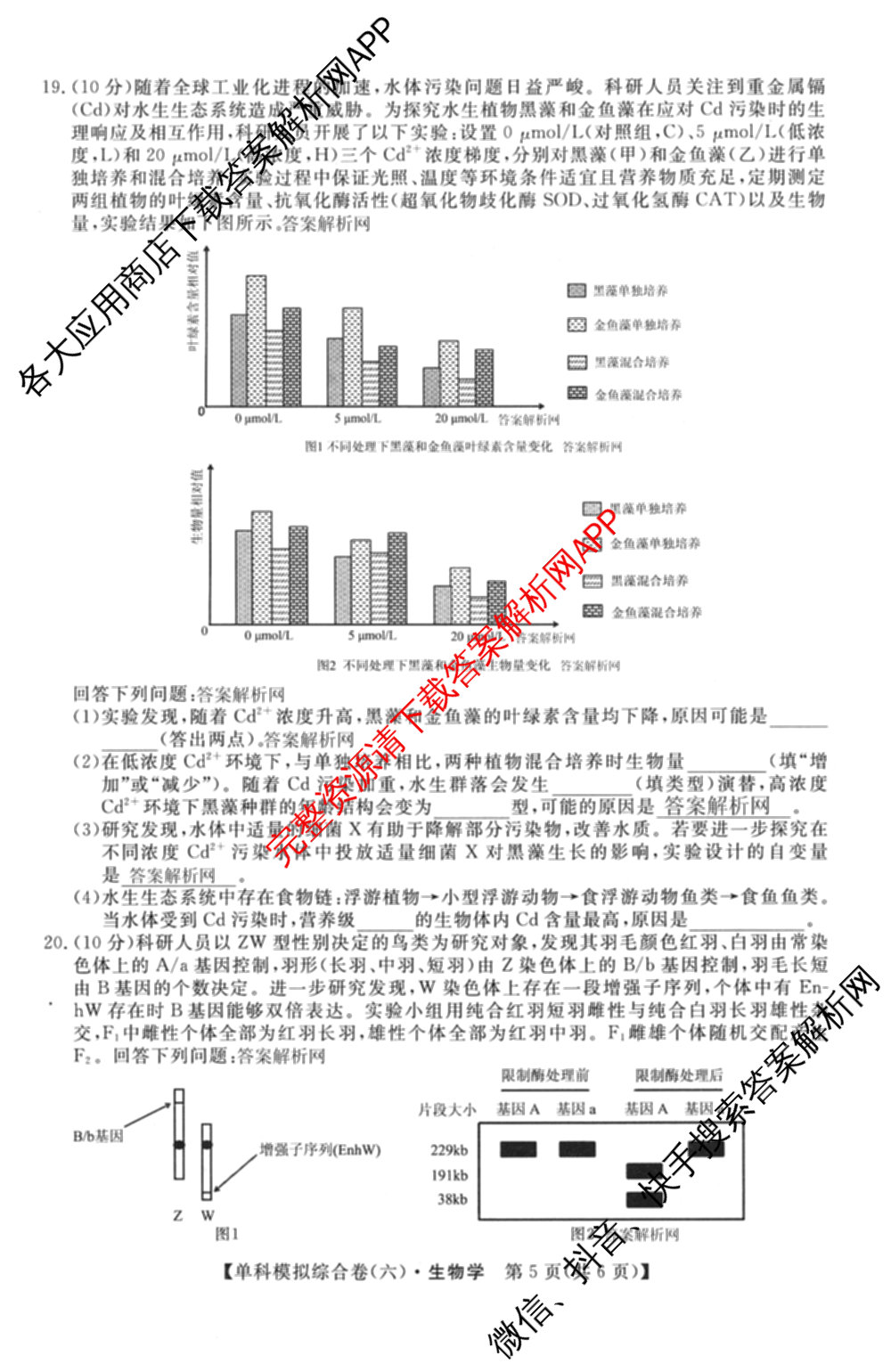 2026新高考单科模拟综合卷(六)6试卷及答案汇总(已更新生物、物理、化学(N)等18份)生物试题