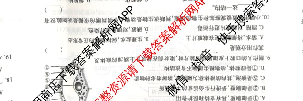 陕西省2024-2025学年度七年级第一学期期中调研试题(卷)试卷及答案汇总（17科全）生物试题