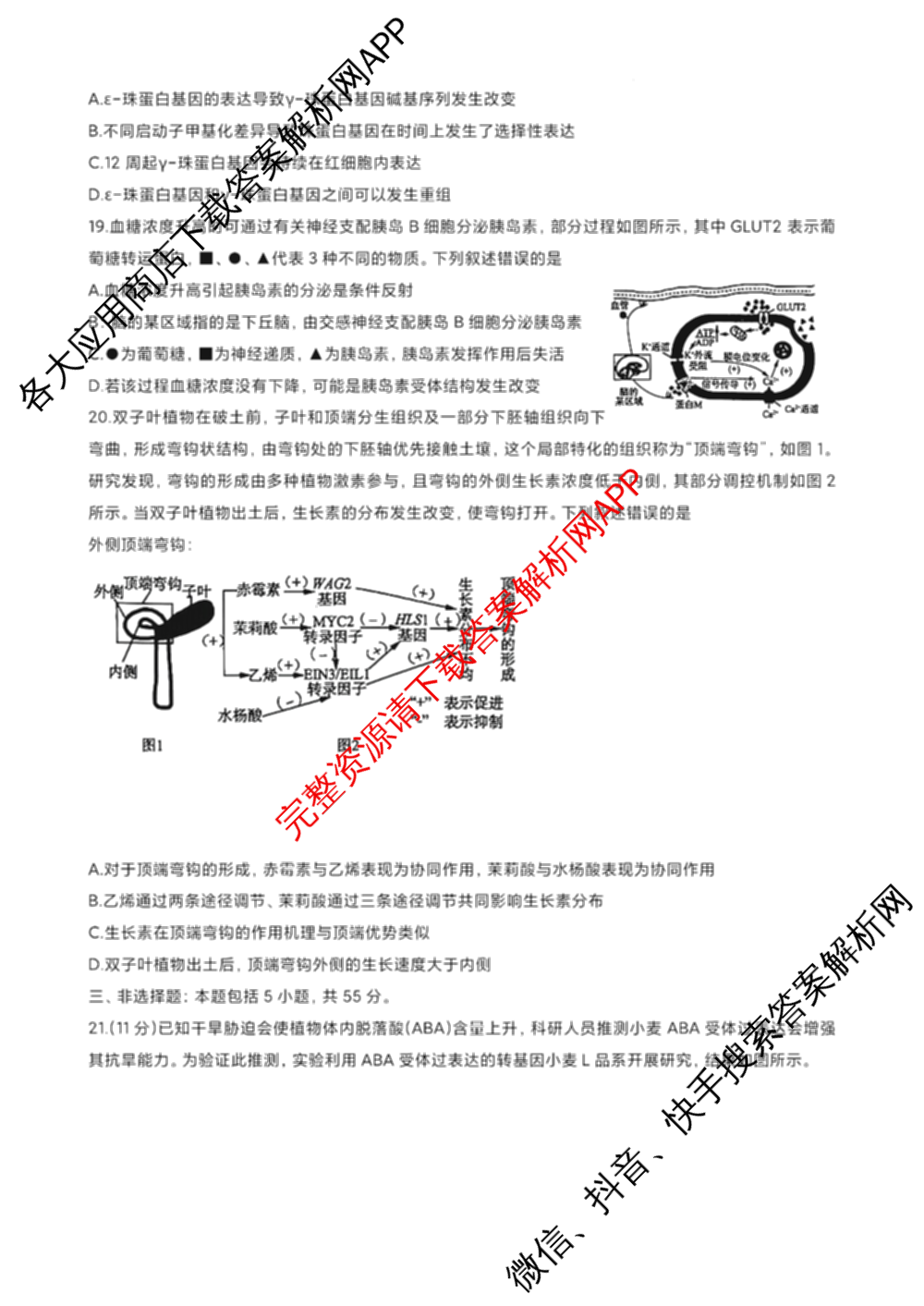 山东名校考试联盟2024年12月高三年级阶段性检测（含地理 物理 语文等）生物试题