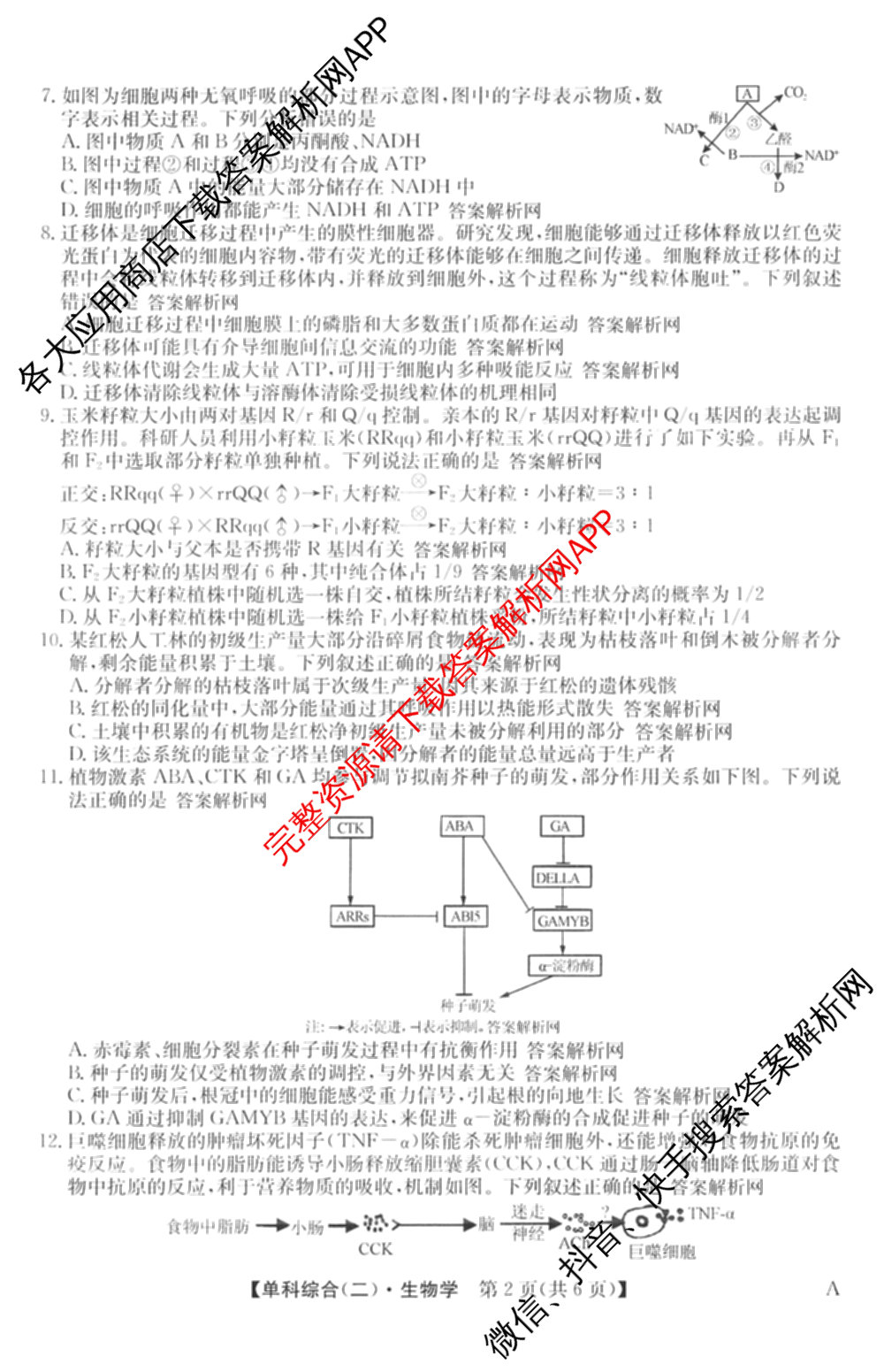 2026年高考单科综合模拟信息卷(二)2试卷及答案汇总（含化学(A) 生物(A) 地理(A)等）生物试题