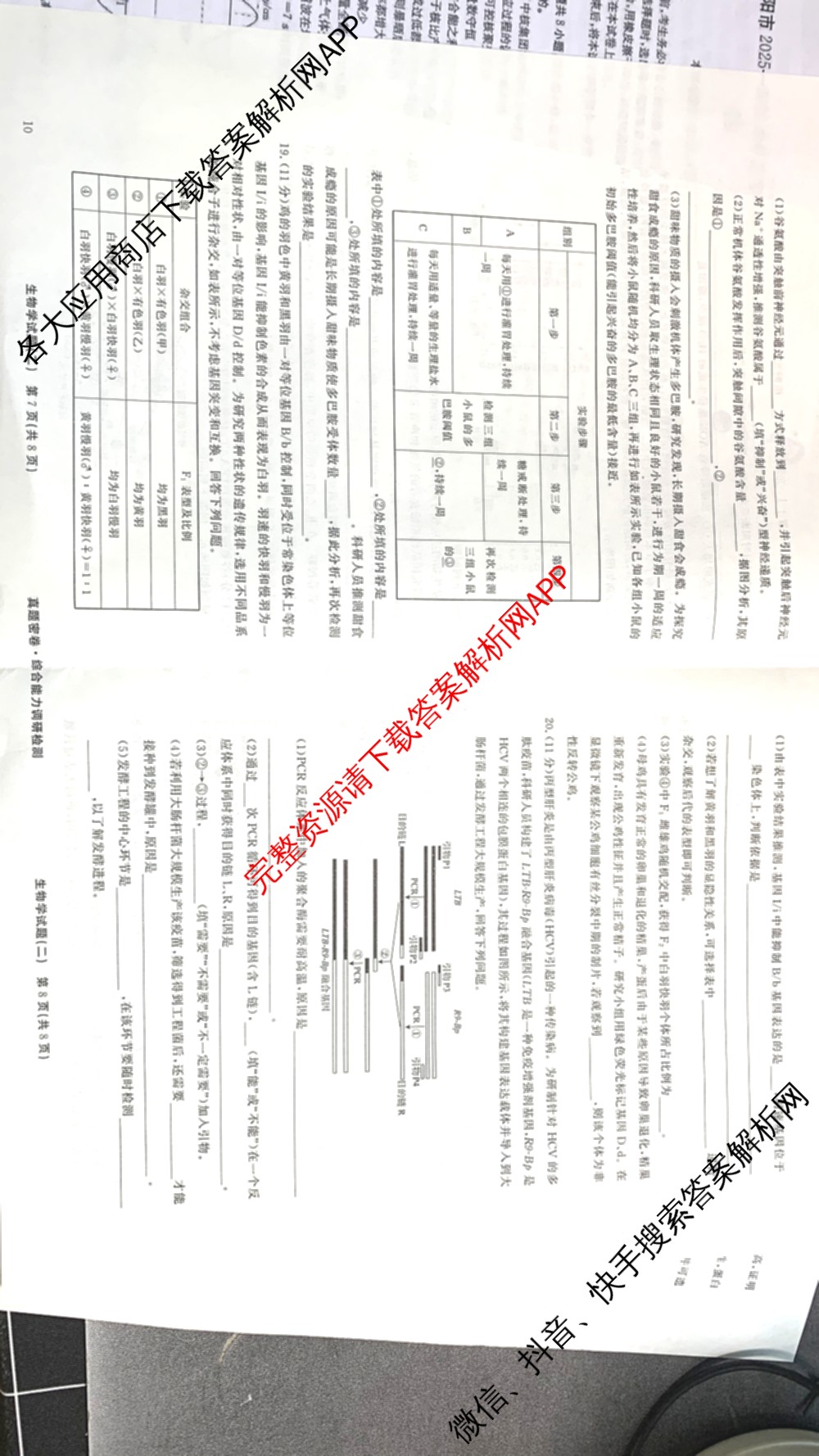 衡水真题密卷2025-2026学年度综合能力调研检测(二)2各科答案及试卷: 含物理(7) 生物(10) 英语(B)试卷解析生物试题