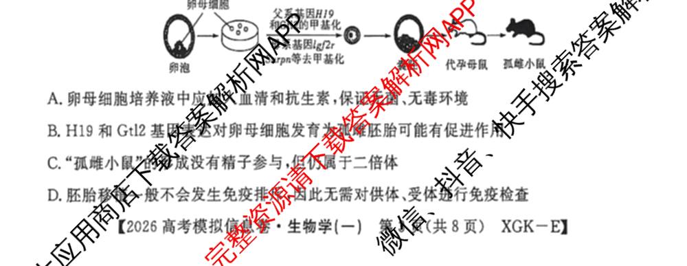 2026年普通高等学校招生全国统一考试模拟信息卷(一)1试卷及答案汇总（含历史(XGK-B) 化学(XGK-B) 物理(XGK-B)等）生物试题