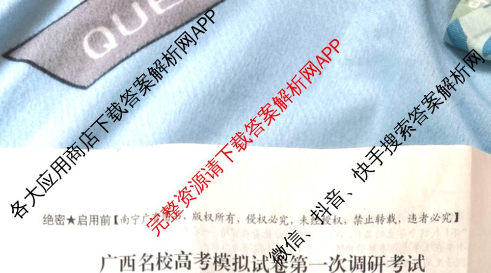 广西名校高考模拟试卷第一次调研考试[2025广西名校卷-3]试卷及答案汇总（含生物、政治、物理等）语文试题
