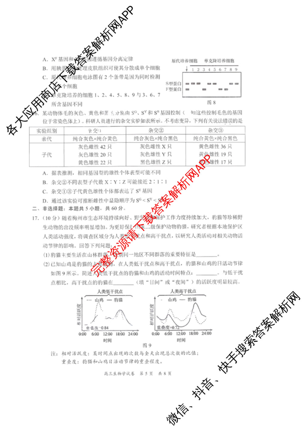 广东省梅州市2025-2026学年高三总复质检试卷(2026.3)[试卷类型A]试卷及答案汇总（含英语、语文、生物等9份）生物试题