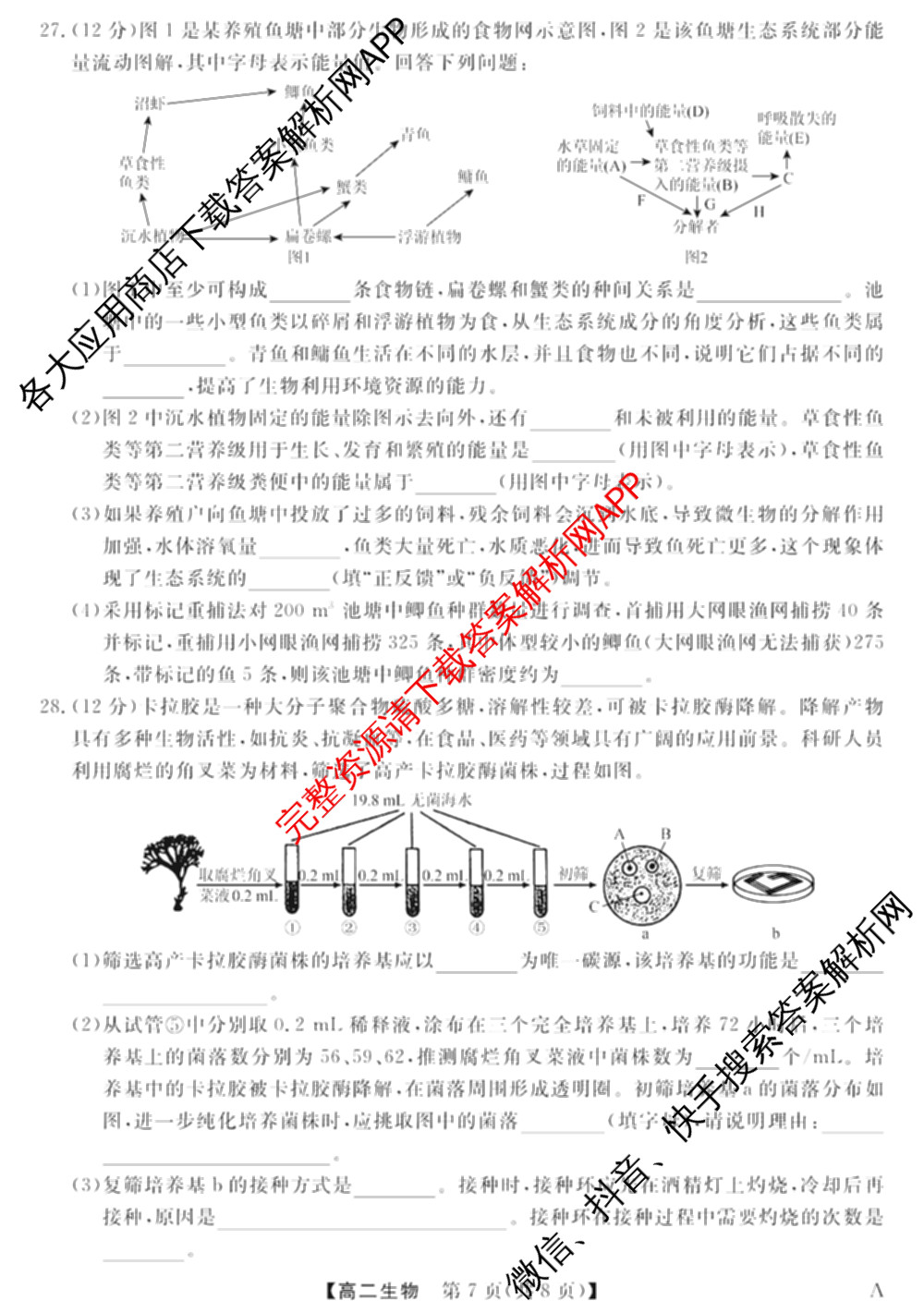 2024-2025学年福建百校高二期末考试(7月)(已更新数学(A)、物理(A)、语文(A)等9份)生物试题