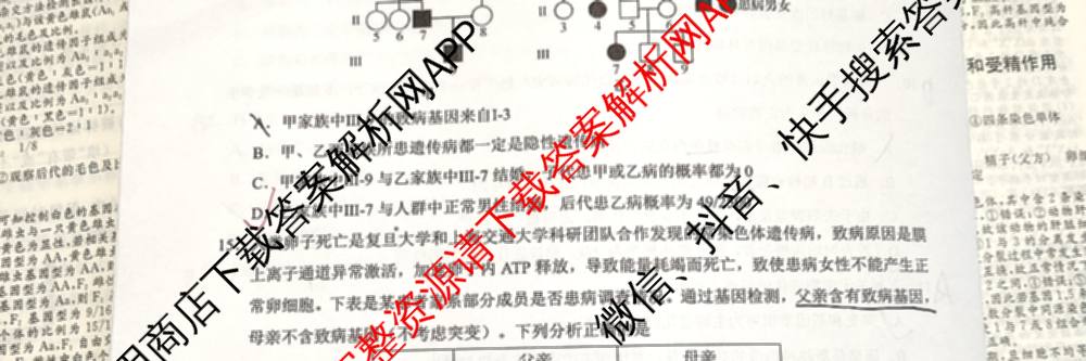 马鞍山市2024~2025学年第二学期期末教学质量监测高一各科答案及试卷: 含英语、地理、物理试卷解析生物试题