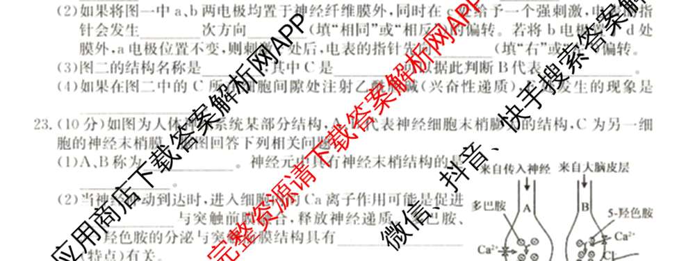 2024~2025全国名校高二上学期第一次月考试卷(含英语(选择性必修第三册-RJ-G-唐) 化学(选择性必修1-RJ-G-宋) 地理(选择性必修1-RJ-G-唐)等)生物试题 2024~2025全国名校高二上学期第一次月考试卷(含英语(选择性必修第三册-RJ-G-唐) 化学(选择性必修1-RJ-G-宋) 地理(选择性必修1-RJ-G-唐)等)生物试题