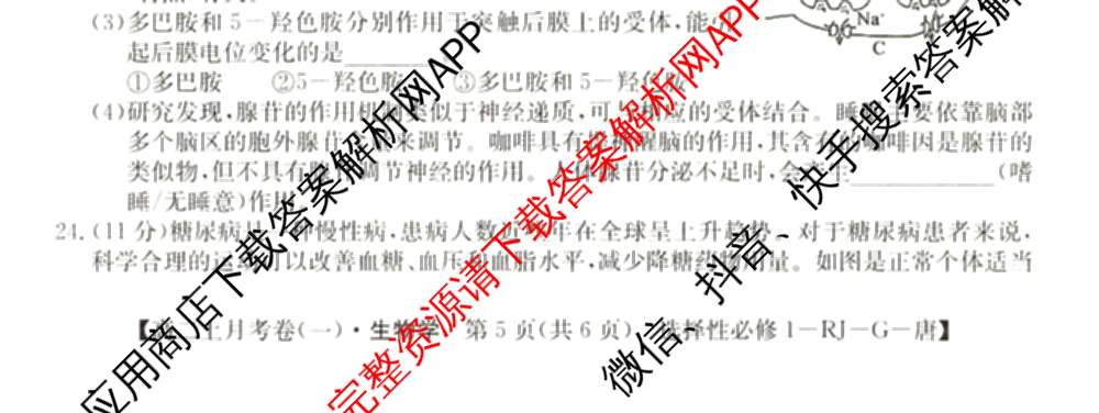2024~2025全国名校高二上学期第一次月考试卷(含英语(选择性必修第三册-RJ-G-唐) 化学(选择性必修1-RJ-G-宋) 地理(选择性必修1-RJ-G-唐)等)生物试题 2024~2025全国名校高二上学期第一次月考试卷(含英语(选择性必修第三册-RJ-G-唐) 化学(选择性必修1-RJ-G-宋) 地理(选择性必修1-RJ-G-唐)等)生物试题