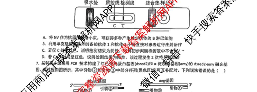 江西省重点中学盟校2024年7月联考试卷及答案汇总（含化学、历史、数学等9份）生物试题