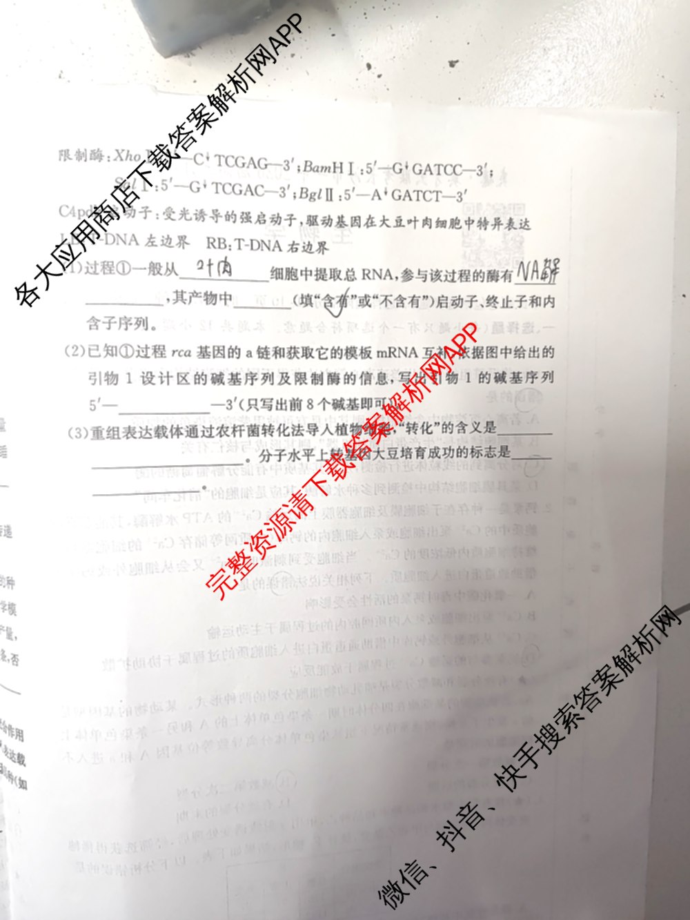 炎德英才大联考长沙市一中2026届高三月考试卷(四)4(已更新化学 政治 物理等9份)生物试题