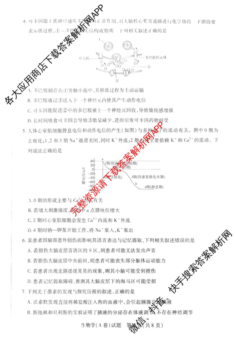  天一大联考安徽2025-2026高二年级12月阶段性检测(无标题)各科答案及试卷（含英语 地理 政治(C卷)等）生物试题