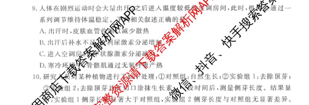 衡水金卷先享题调研卷2026年普通高等学校招生全国统一考试模拟试题(四)4(已更新生物(山东专版) 理综 历史(JS)等91份)生物试题