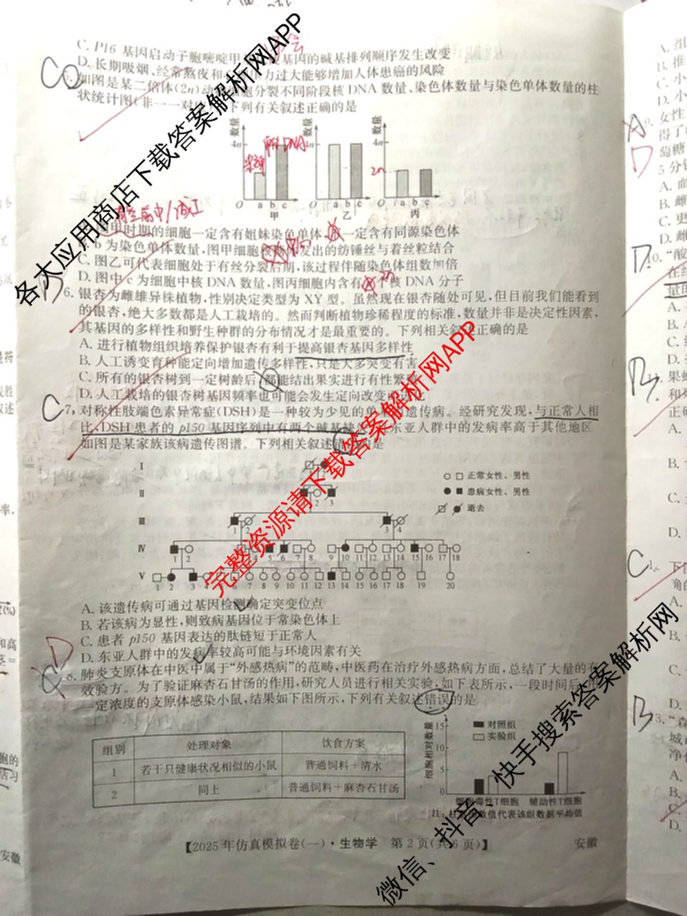 2025年全国高考仿真模拟卷(一)1（含生物(G2) 化学(G1) 历史(江西)等）生物试题
