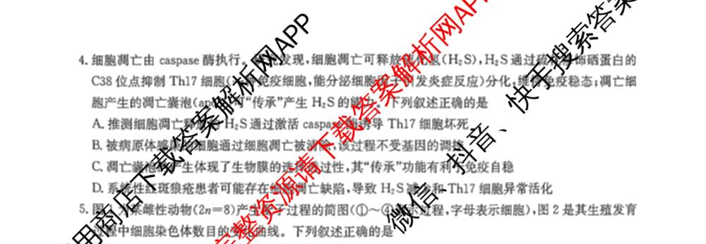 九师联盟2025~2026学年高三核心模拟卷(中)(三)3试卷及答案汇总: 含历史(B)、历史(D2)、物理(A1)试卷解析生物试题