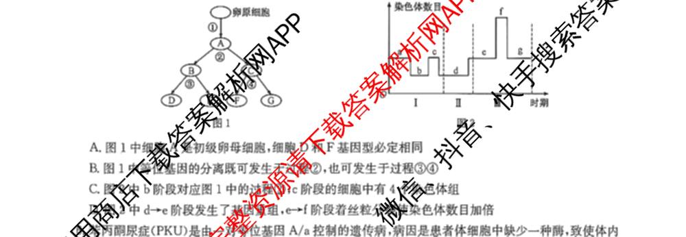 九师联盟2025~2026学年高三核心模拟卷(中)(三)3试卷及答案汇总: 含历史(B)、历史(D2)、物理(A1)试卷解析生物试题