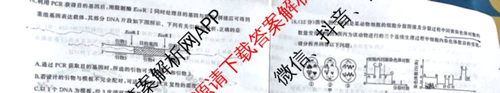 百师联盟2026届高三年级12月阶段检测(12.5)各科答案及试卷（含地理 数学 英语等）生物试题