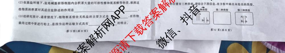 百师联盟2026届高三年级12月阶段检测(12.5)各科答案及试卷（含地理 数学 英语等）生物试题