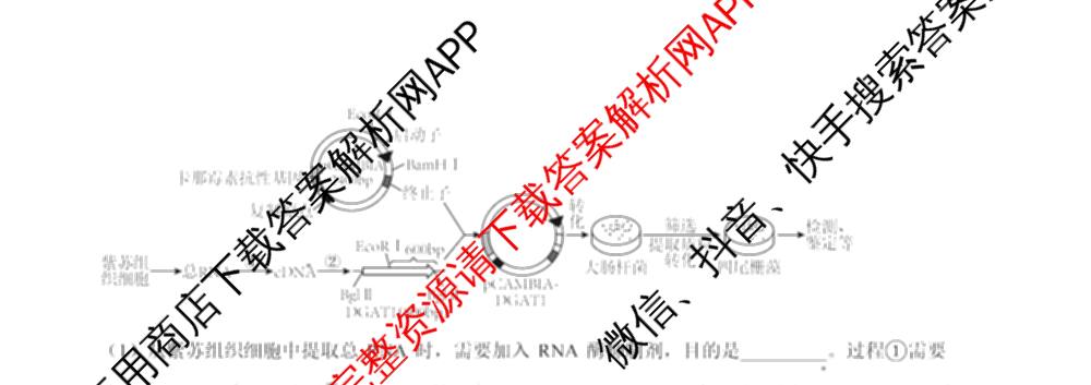 江西省西路片七校2026届高三第一次联考（含物理 历史 政治等）生物试题