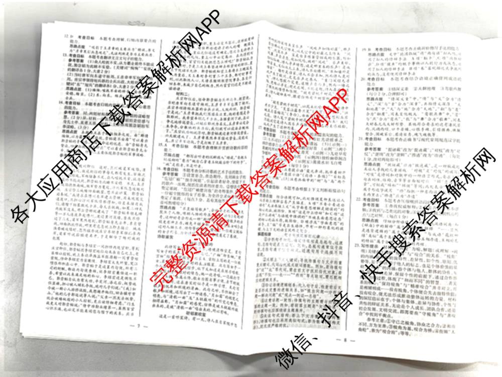 天一大联考2026届高考全真模拟卷(二)2试卷及答案汇总（含生物(湖南专版)、历史(河北专版)、日语等）语文答案