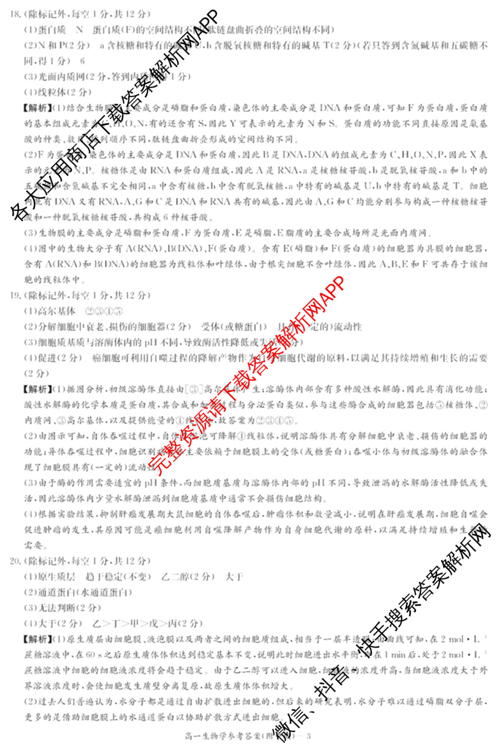 炎德英才大联考湖南师大附中2025-2026学年度高一第一学期期中考试试卷及答案汇总（含化学、政治、物理等）生物答案