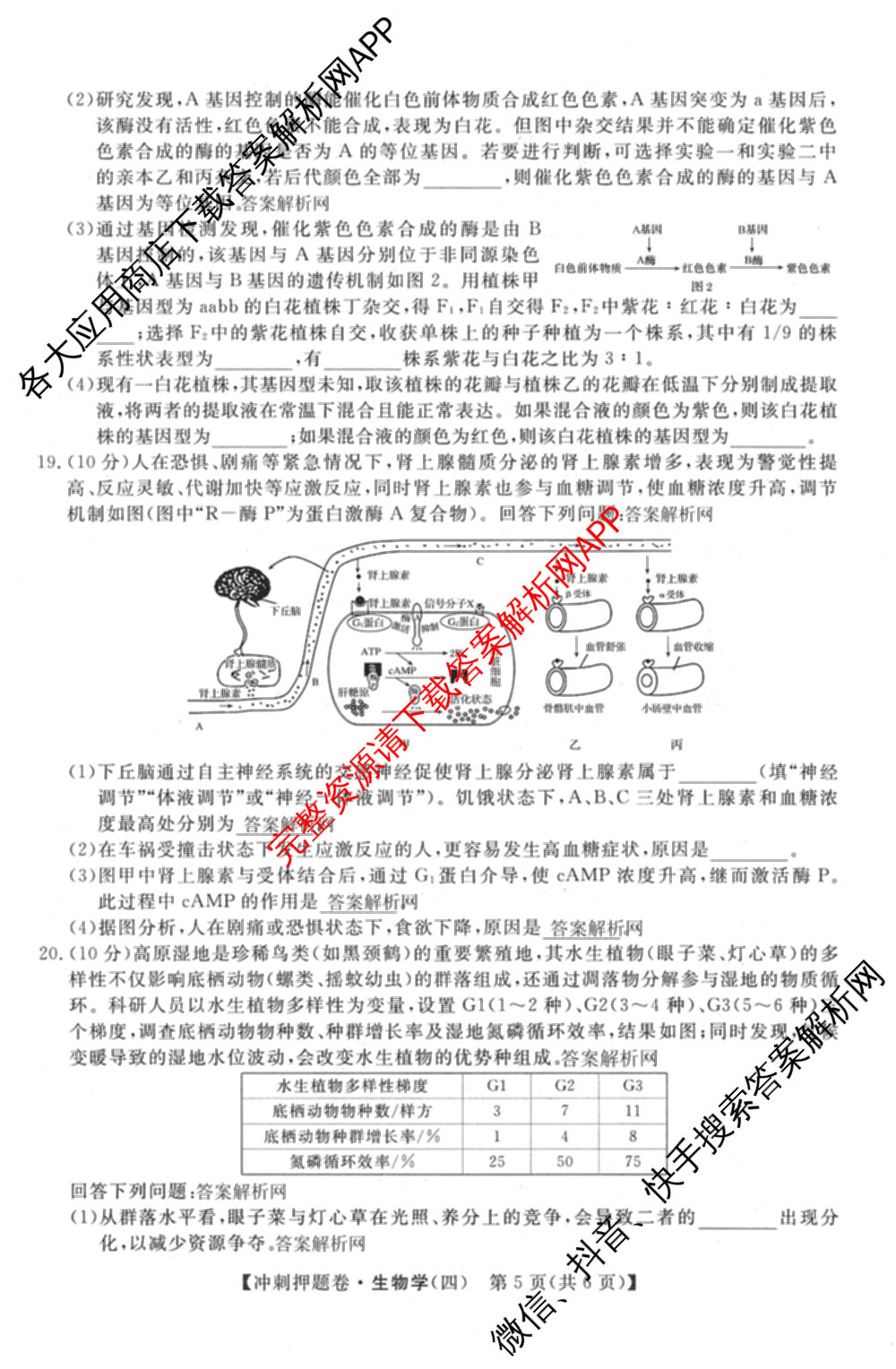 2026普通高等学校招生全国统一考试冲刺押题卷(四)4（15科全）生物试题