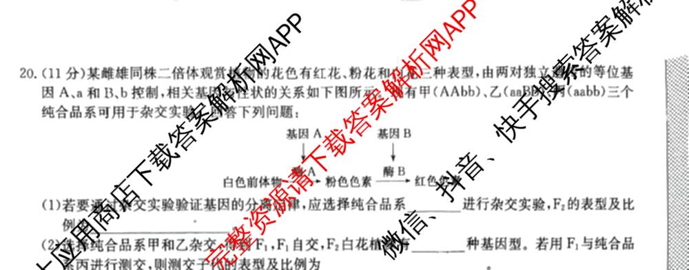 九师联盟2025~2026学年高三核心模拟卷(中)(五)（含化学(D1)、历史(D2)、政治(B)等）生物试题