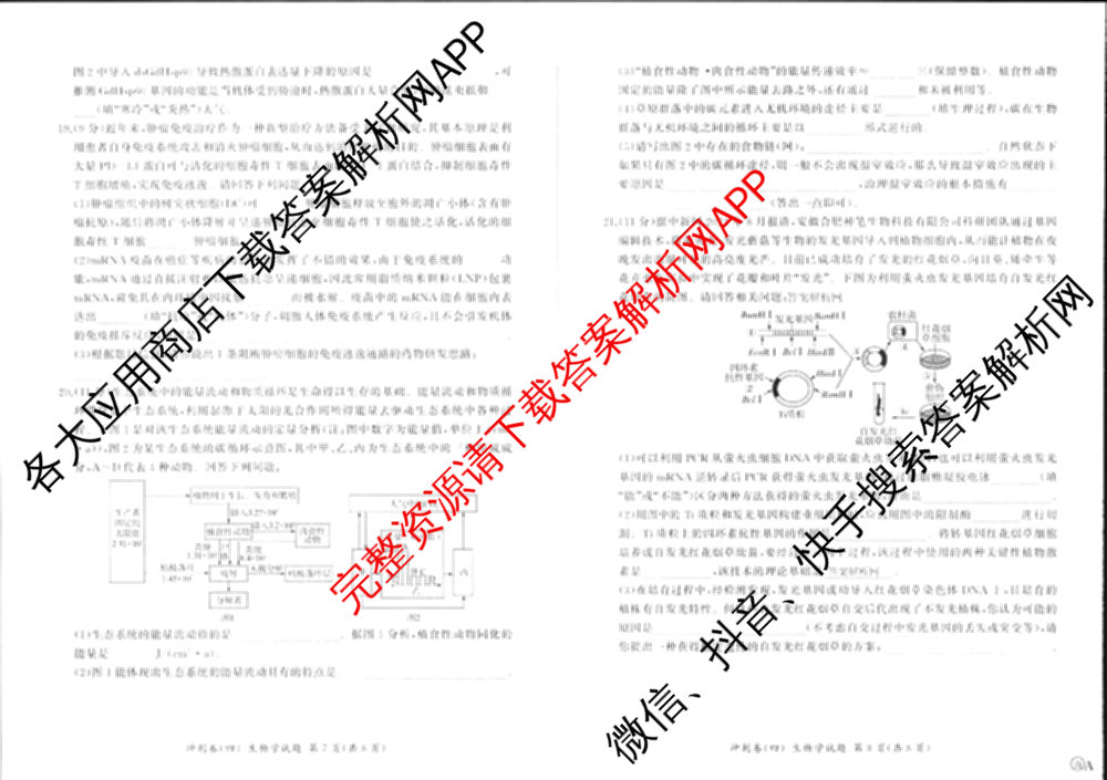 百师联盟2025届高三冲刺卷(四)4试卷及答案汇总（39科全）生物试题