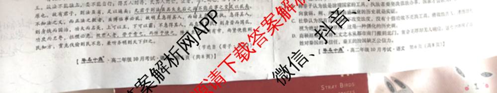 琢名小渔2025-2026学年高二年级10月考试各科答案及试卷（含语文 地理(A) 政治等15份）语文试题