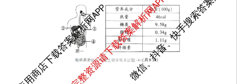 陕西省榆林高新区2024-2025学年度第二学期七年级期末质量检测各科答案及试卷: 含历史 语文 道德与法治试卷解析生物试题