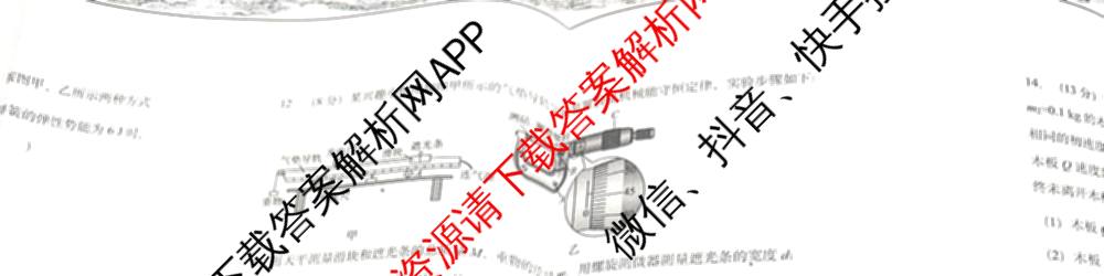 石家庄精英中学2024-2025学年第二学期高三第一次调研考试各科答案及试卷（含历史 化学 生物等）物理试题