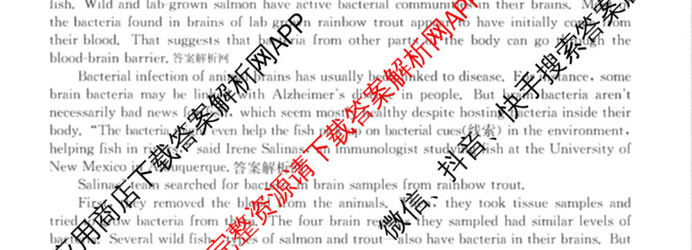 2026年普通高等学校招生全国统一考试猜题密卷(一)1(已更新物理(C1)、化学(C3)、政治(ZZ)等11份)英语试题