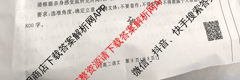 陕西省2024-2025高二10月联考(10.8)试卷及答案汇总: 含生物、数学、地理试卷解析语文试题