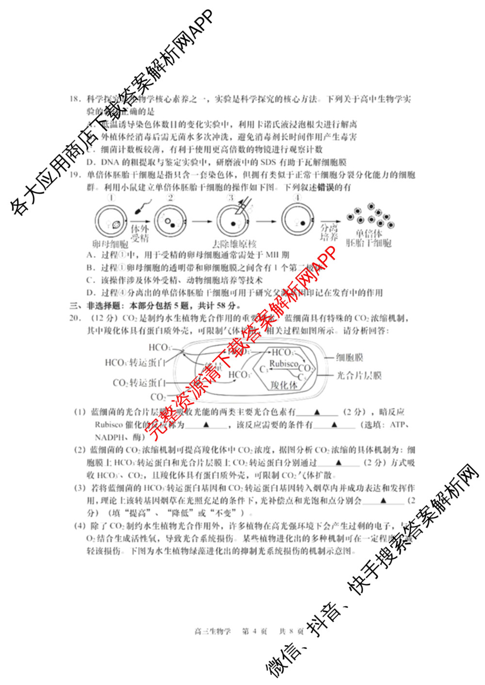 江苏省如皋市2025-2026学年度高三年级第一学期教学质量调研(一)(含语文 物理 英语等)生物试题 江苏省如皋市2025-2026学年度高三年级第一学期教学质量调研(一)(含语文 物理 英语等)生物试题