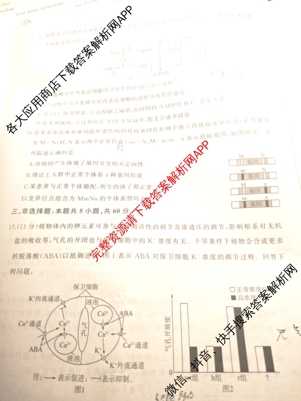百师联盟2026届高三仿真模拟考试(五)各科答案及试卷（含物理(百E)、数学(百B)、地理(百N)等）生物试题