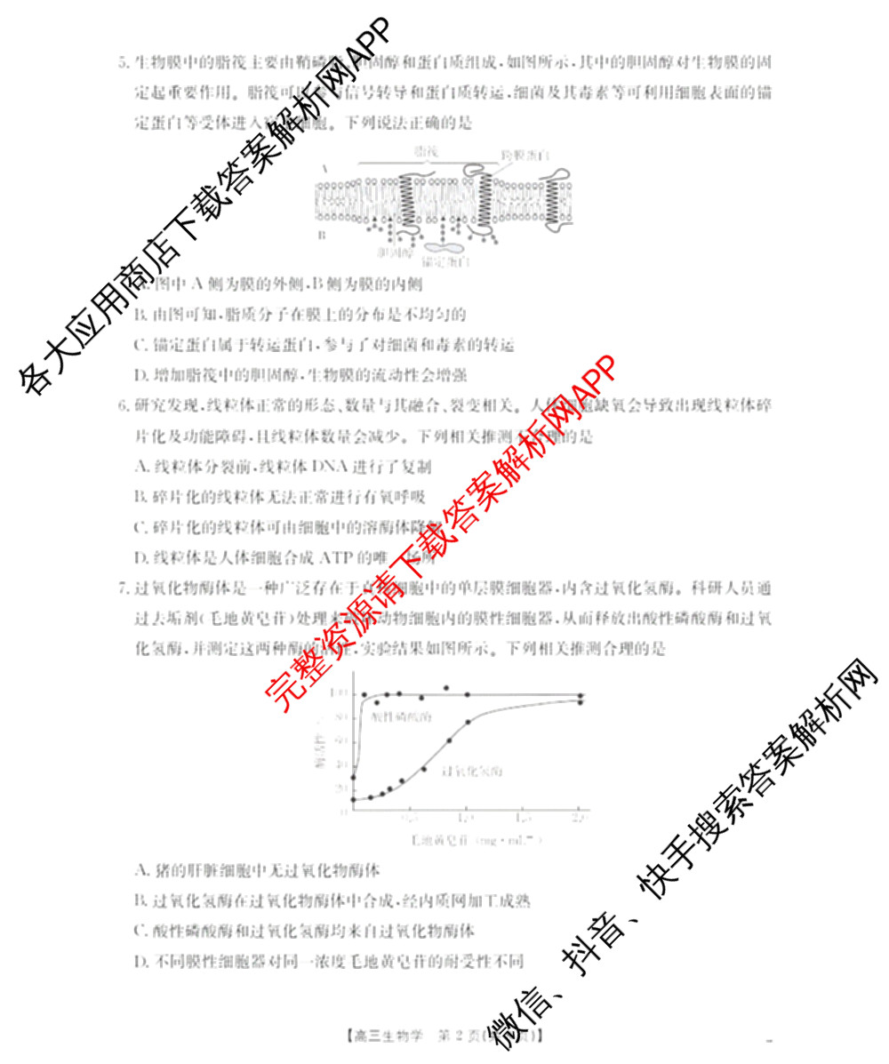 福建省2026届高三10月联考(10.27)各科答案及试卷(已更新生物 政治 地理等9份)生物试题 福建省2026届高三10月联考(10.27)各科答案及试卷(已更新生物 政治 地理等9份)生物试题