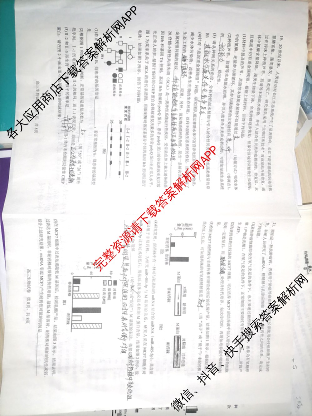 2025年江西师大附中高三三模(5.16)（含政治 英语 生物等9份）生物试题