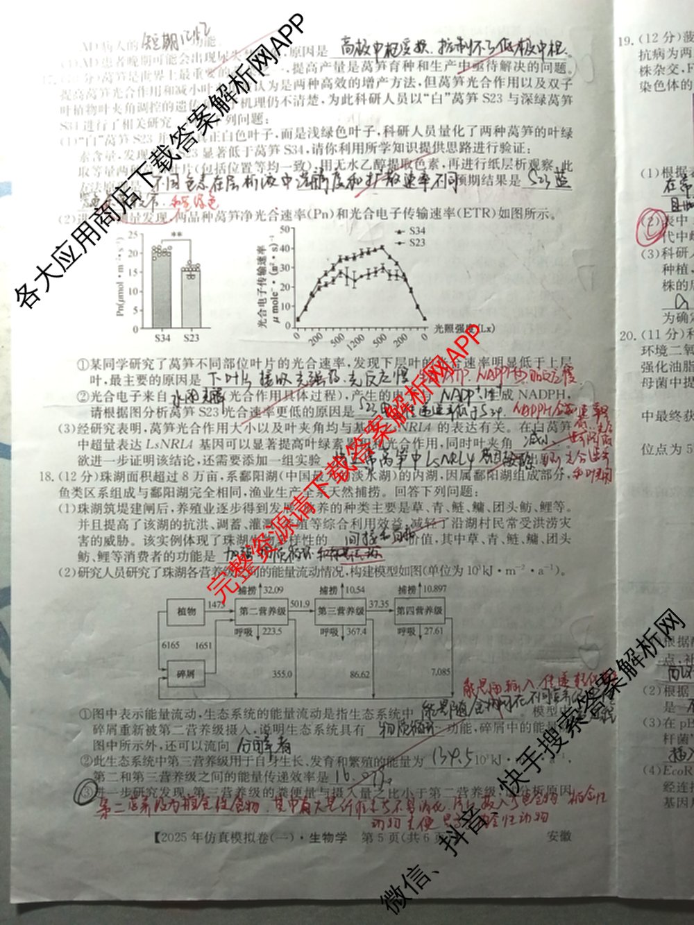 2025年全国高考仿真模拟卷(一)1（含生物(G2) 化学(G1) 历史(江西)等）生物试题