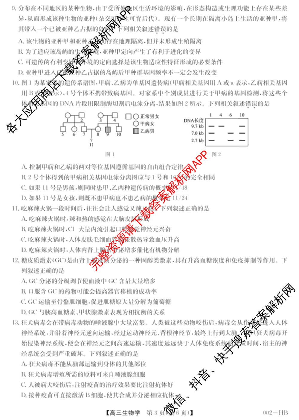 九师联盟湖北省2027届高三8月考试(002-HB)各科答案及试卷（含化学 物理 历史等）生物试题