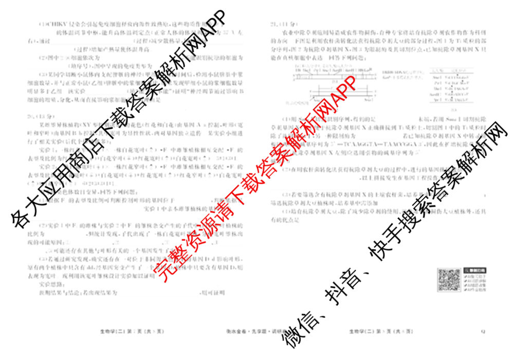 衡水金卷先享题调研卷2026年普通高等学校招生全国统一考试模拟试题(二)2试卷及答案汇总（91科全）生物试题