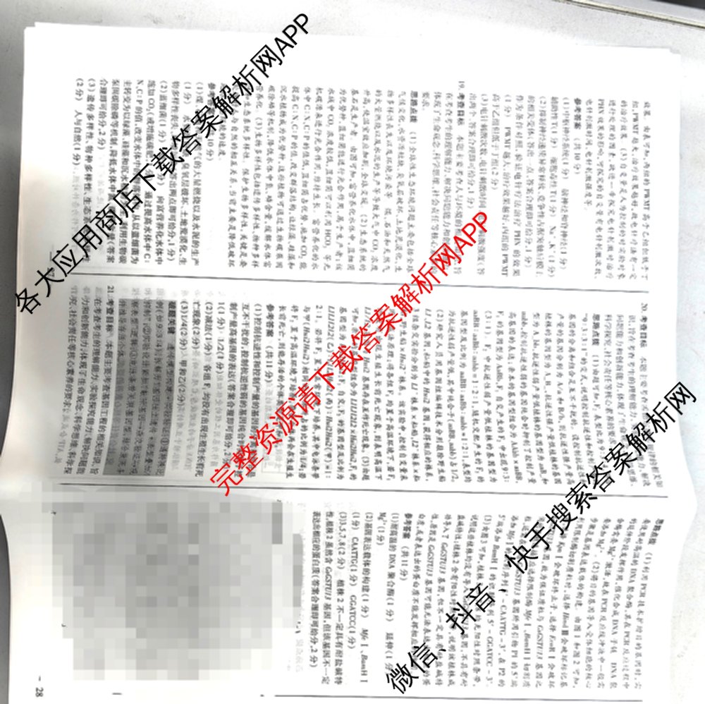 天一大联考2026届高考全真模拟卷(六)6试卷及答案汇总(已更新地理(湖南专版)、化学(安徽专版)、历史(山西专版)等48份)生物答案