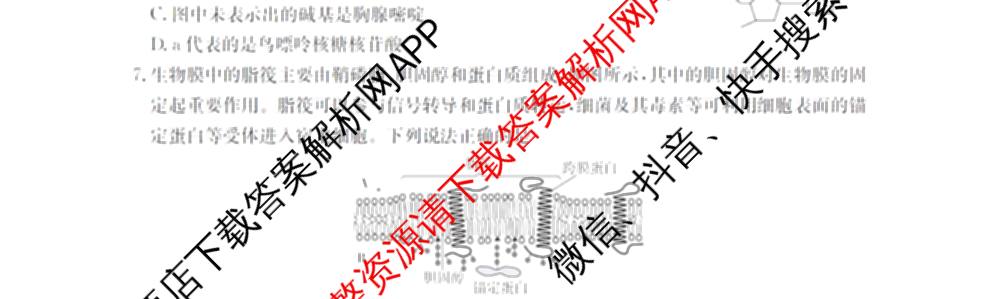 辽宁省2026届高三10月考试(10.27)各科答案及试卷(9科全)生物试题 辽宁省2026届高三10月考试(10.27)各科答案及试卷(9科全)生物试题