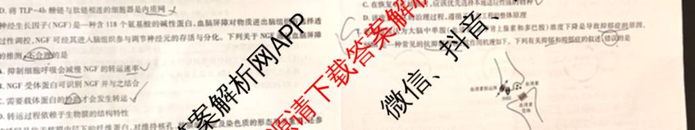 2026届智慧上进名校学术联盟高考模拟信息卷&冲刺卷&预测卷(三)3试卷及答案汇总（含生物(SX) 生物(SC) 生物(II)等40份）生物试题