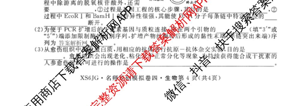 2026届高三总复名师原创模拟(四)4各科答案及试卷（39科全）生物试题