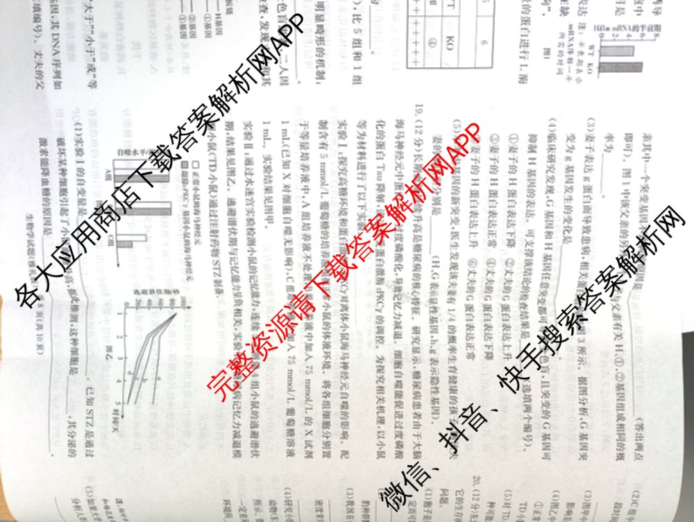 炎德英才大联考雅礼中学2026届高三月考试卷(四)试卷及答案汇总: 含数学、英语、语文试卷解析生物试题