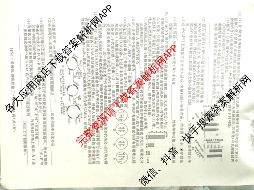 2026届高三总复名师原创模拟(三)3各科答案及试卷（含政治(CQX6)、生物(CQX6)、物理(HN6)等）生物试题